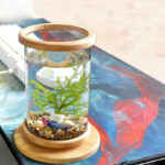 Mini Aquarium Creative Micro view Rotating 360 Fish Tank Office Desktop Tempered Glass Ecological Bottle Fish Tank Decoration