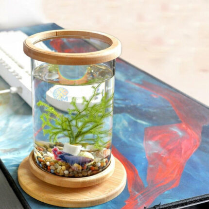 Mini Aquarium Creative Micro view Rotating 360 Fish Tank Office Desktop Tempered Glass Ecological Bottle Fish Tank Decoration
