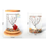 Mini Aquarium Creative Micro view Rotating 360 Fish Tank Office Desktop Tempered Glass Ecological Bottle Fish Tank Decoration